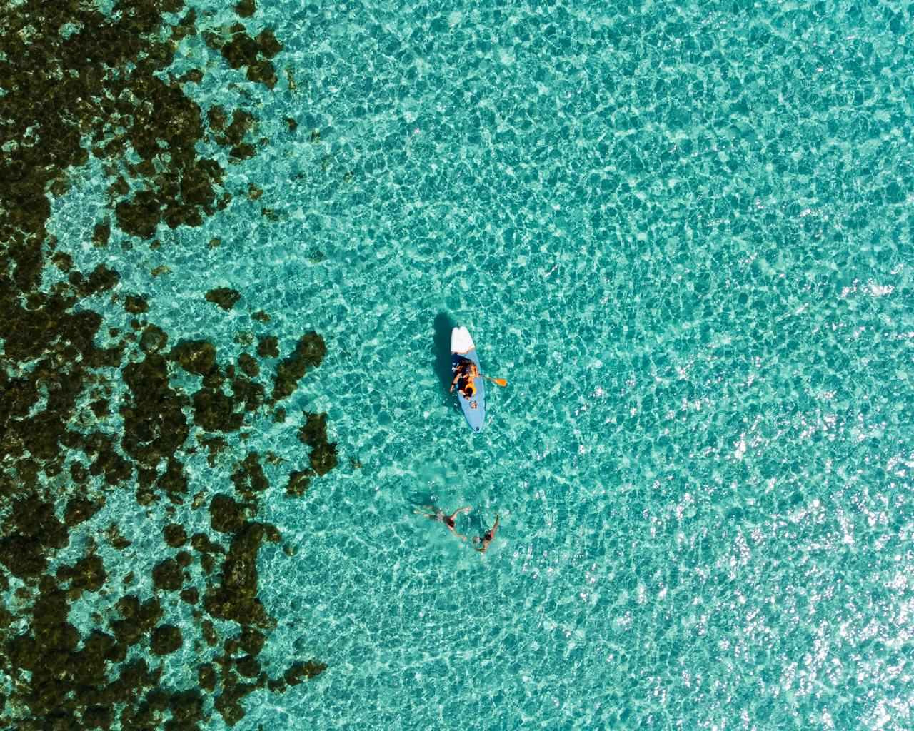 Aerial shot of a paddleboarder on a clear turquoise lagoon with visible corals.