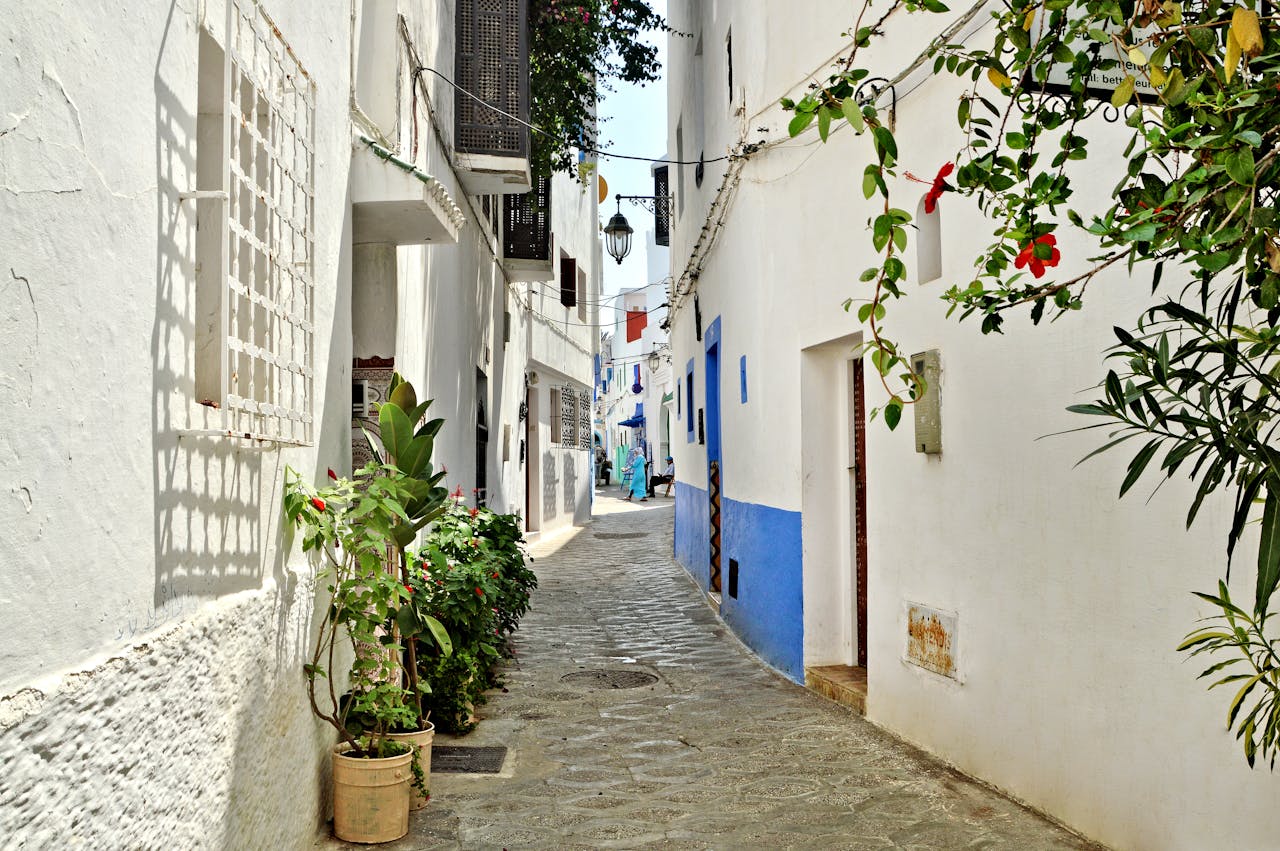 Picturesque alley with white and blue walls in Asilah, Morocco, featuring lush greenery.